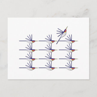 Humming Bird Postcard