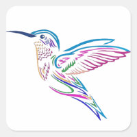 Humming Bird
