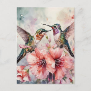 Humming Birds and Flowers Postcard