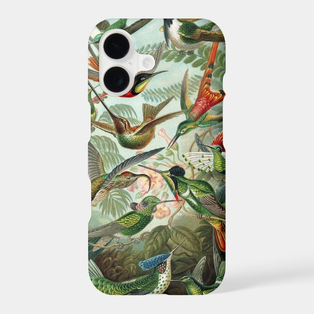 Hummingbird (Back)