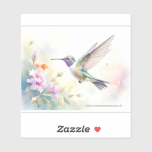Hummingbird