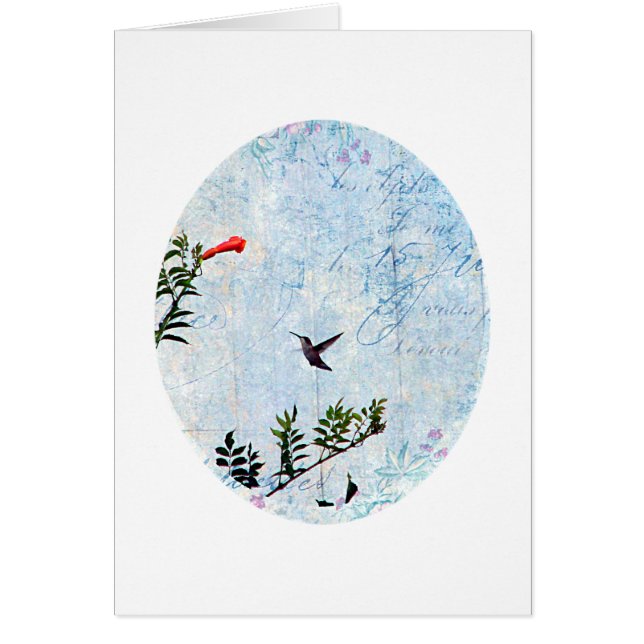 Hummingbird (Front)