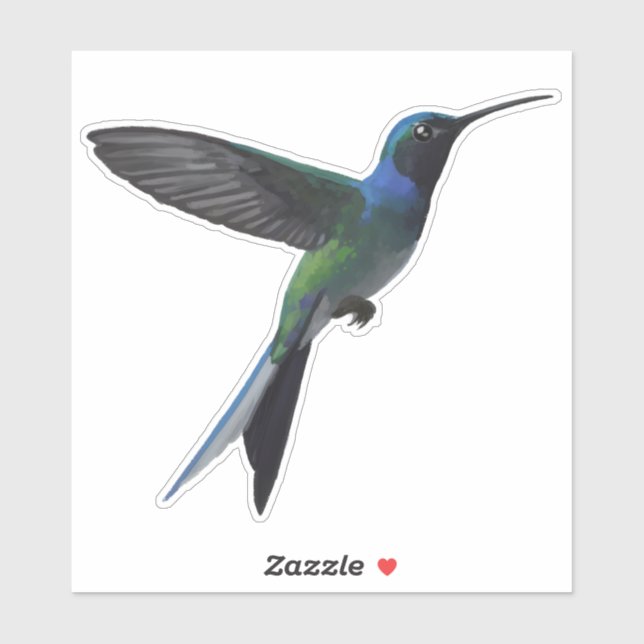 Hummingbird (Sheet)