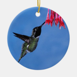 Hummingbird [1] ceramic tree decoration
