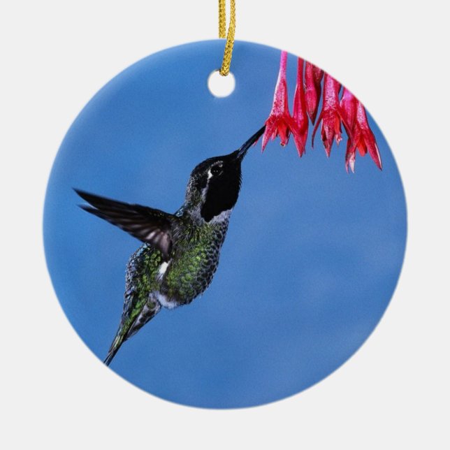 Hummingbird [1] ceramic tree decoration (Front)