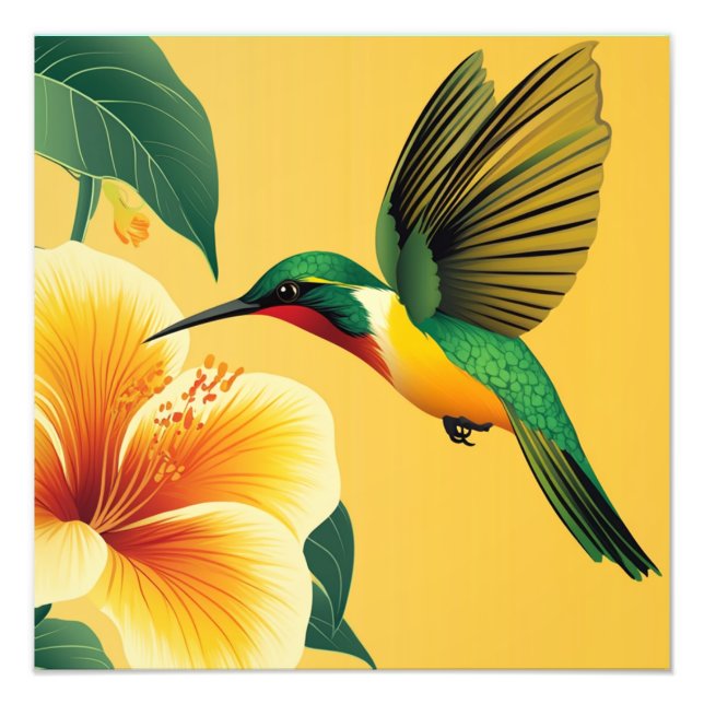  HUMMINGBIRD  #1  PHOTO PRINT (Front)