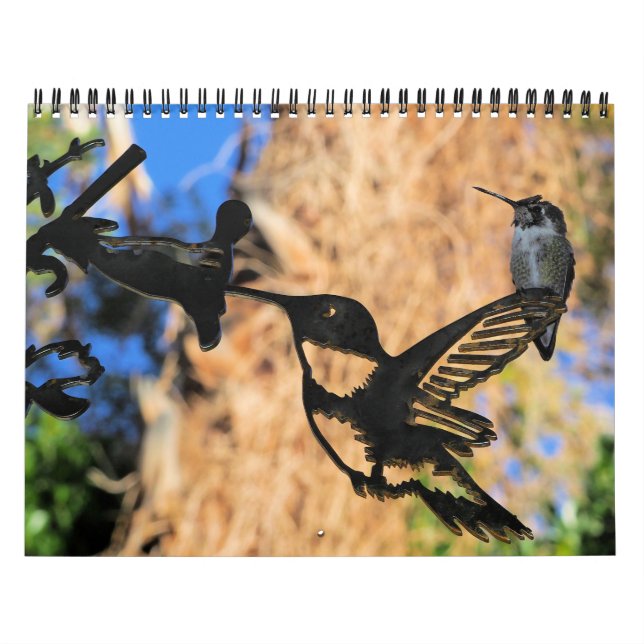 HUMMINGBIRD 2022 Calendar (Cover)