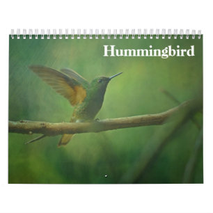 Hummingbird 2025 calendar