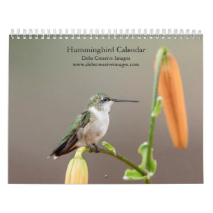 Hummingbird 2026 calendar