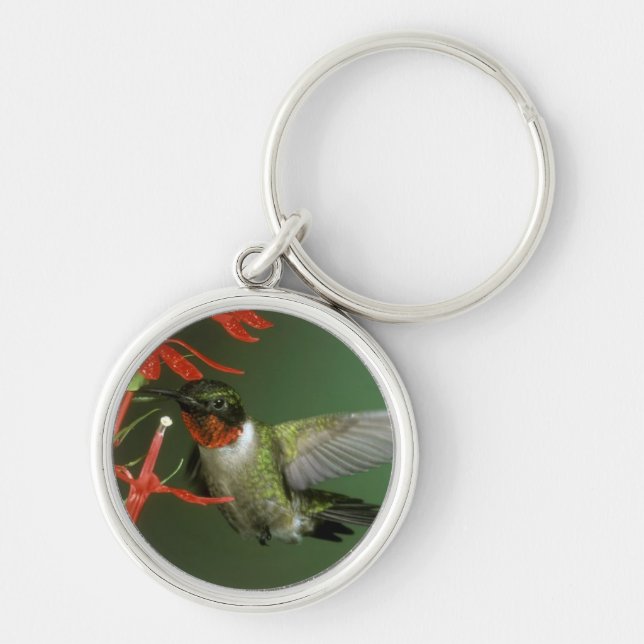 Hummingbird 2 key chain (Front)