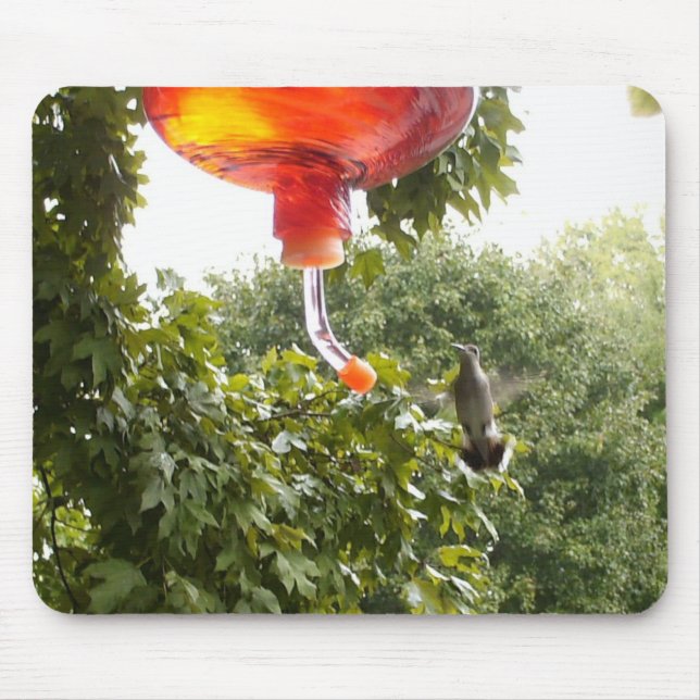 Hummingbird 2 , Mousepad (Front)