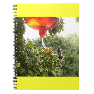 Hummingbird 2 Notebook