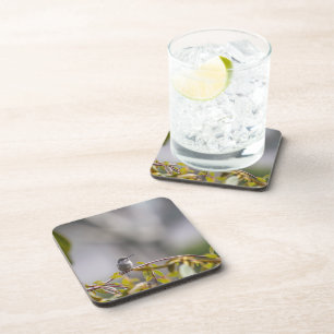 Hummingbird 3346 coaster