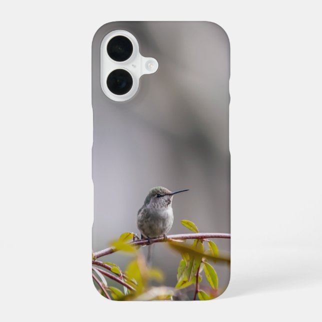 Hummingbird 3346 iPhone 16 case (Back)