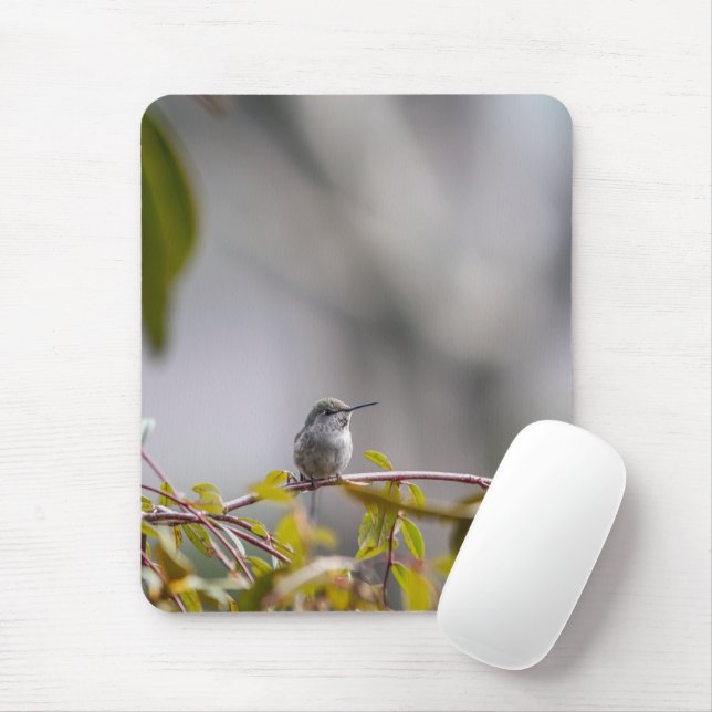 Hummingbird 3346 mouse pad (With Mouse)