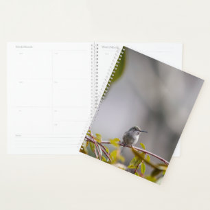 Hummingbird 3346 planner