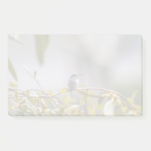 Hummingbird 3346 post-it notes