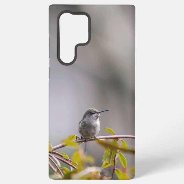 Hummingbird 3346 samsung galaxy s22 ultra case (Back)