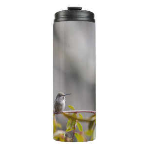 Hummingbird 3346 thermal tumbler