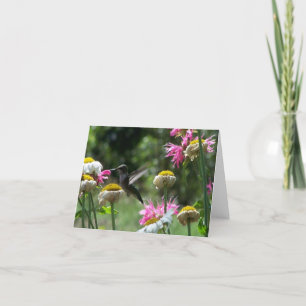 Hummingbird 4 card
