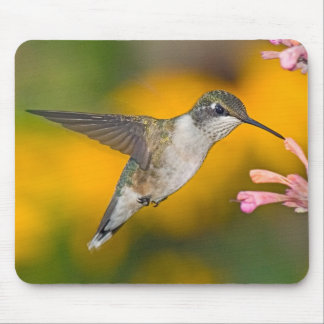 Hummingbird 4 Mousepad