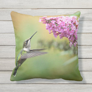 Hummingbird 5053 outdoor cushion