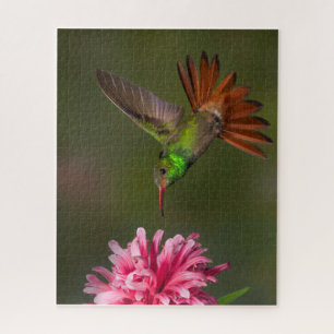 Hummingbird 520 pieces puzzle