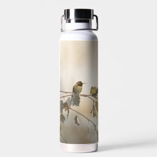 Hummingbird 5265 water bottle