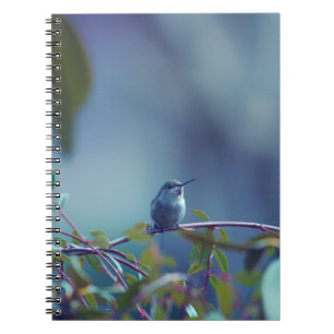 Hummingbird 5738 notebook