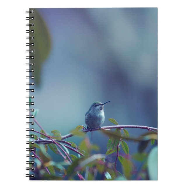 Hummingbird 5738 notebook (Front)
