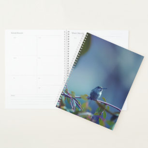 Hummingbird 5738 planner