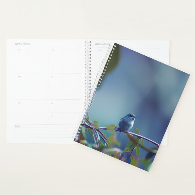 Hummingbird 5738 planner (Display)