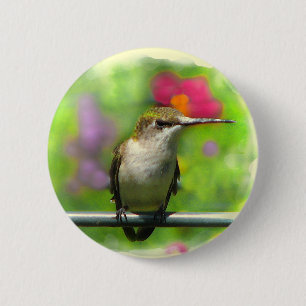 Hummingbird 6 Cm Round Badge