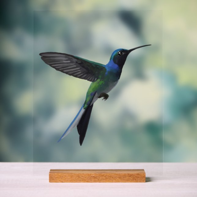 Hummingbird Acrylic Sign (Neutral)