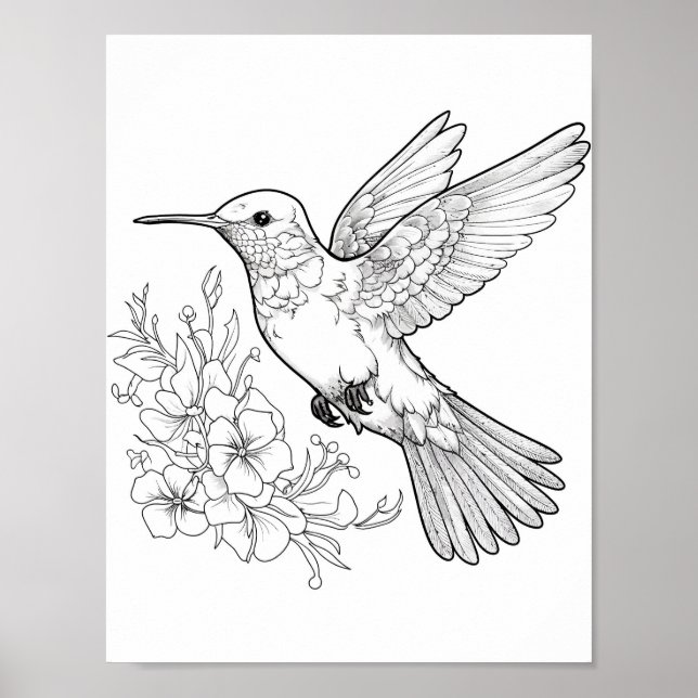 Hummingbird Adult Colouring Poster (Front)