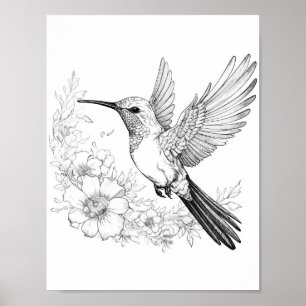 Hummingbird Adult Colouring Poster