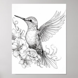 Hummingbird Adult Colouring Poster