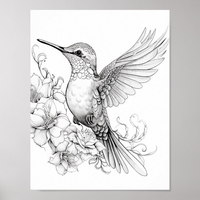 Hummingbird Adult Colouring Poster (Front)