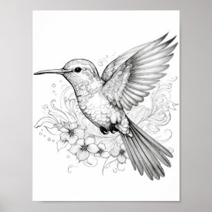 Hummingbird Adult Colouring Poster