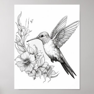 Hummingbird Adult Colouring Poster