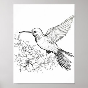 Hummingbird Adult Colouring Poster