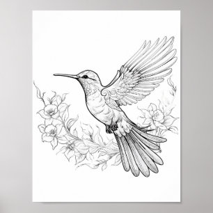 Hummingbird Adult Colouring Poster
