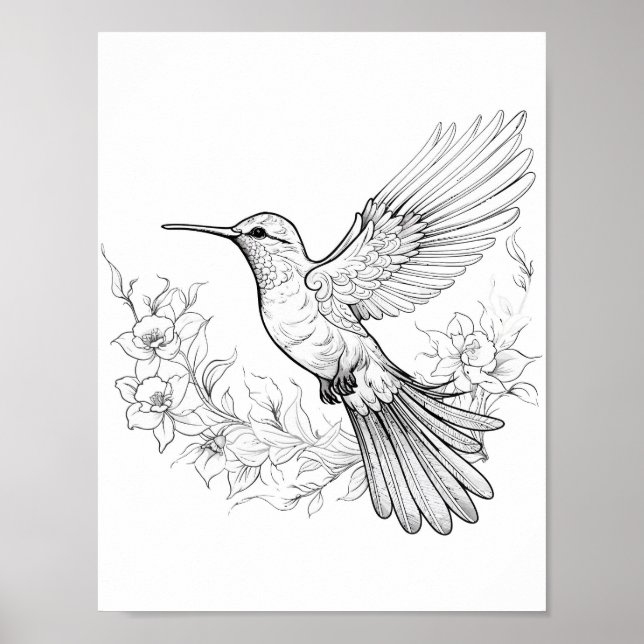 Hummingbird Adult Colouring Poster (Front)