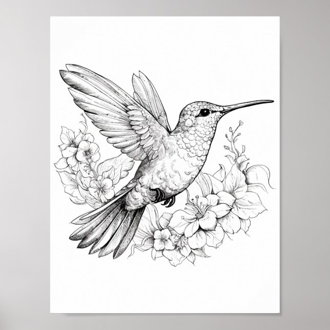 Hummingbird Adult Colouring Poster (Front)