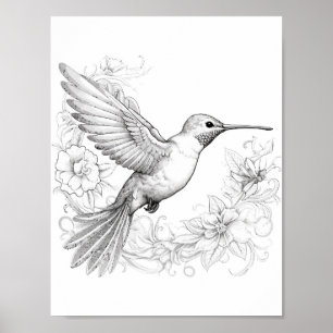 Hummingbird Adult Colouring Poster