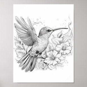 Hummingbird Adult Colouring Poster