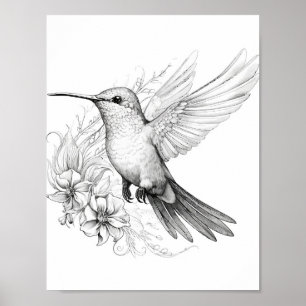 Hummingbird Adult Colouring Poster