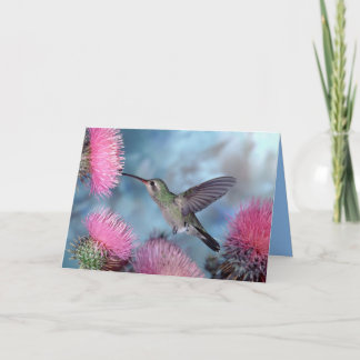 Hummingbird All Occasion Card