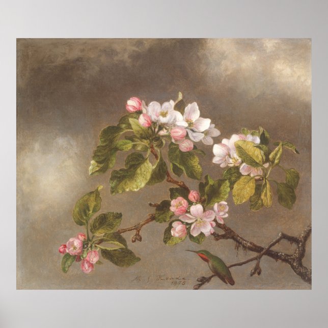 Hummingbird and Apple Blossoms 1875 Poster (Front)