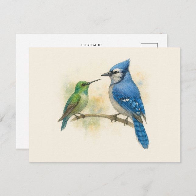 Hummingbird and Blue Jay Nature  Postcard (Front/Back)